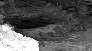 Still 3 from this detection