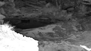 Still 2 from this detection