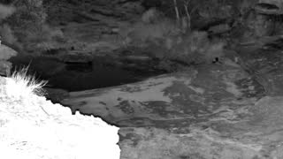 Still 3 from this detection