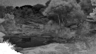 Still 1 from this detection