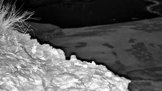 Still 1 from this detection