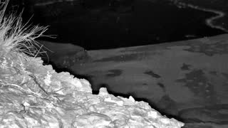 Still 2 from this detection