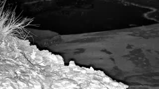 Still 3 from this detection