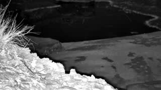 Still 2 from this detection