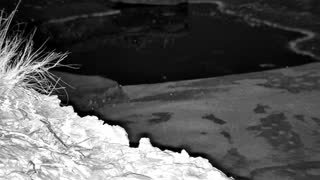 Still 3 from this detection