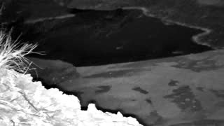 Still 1 from this detection