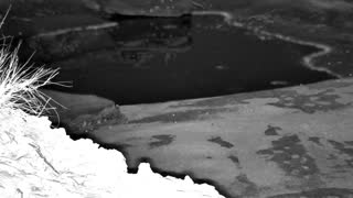 Still 2 from this detection