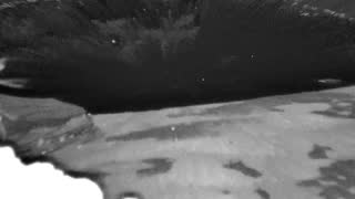 Still 3 from this detection
