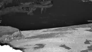 Still 3 from this detection