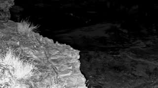 Still 1 from this detection
