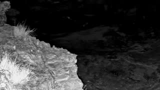 Still 2 from this detection