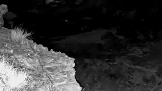 Still 3 from this detection