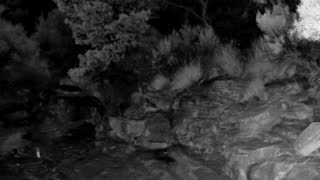Still 2 from this detection
