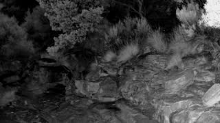 Still 1 from this detection