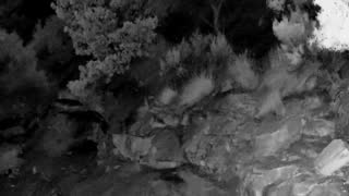 Still 2 from this detection