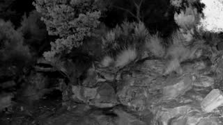Still 3 from this detection