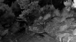 Still 2 from this detection