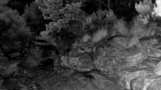 Still 1 from this detection