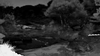 Still 2 from this detection