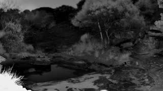 Still 1 from this detection