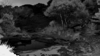 Still 2 from this detection