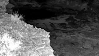 Still 1 from this detection