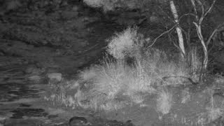 Still 2 from this detection