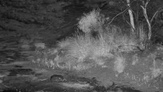 Still 3 from this detection
