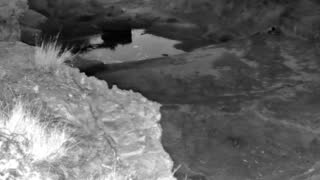 Still 3 from this detection