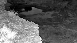 Still 1 from this detection