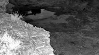 Still 3 from this detection