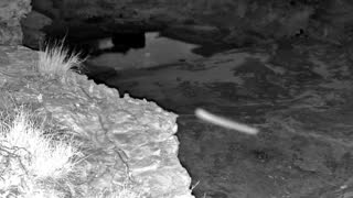 Still 1 from this detection