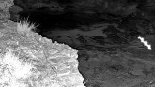 Still 1 from this detection
