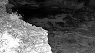 Still 3 from this detection