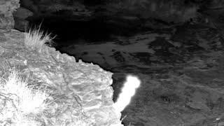 Still 1 from this detection