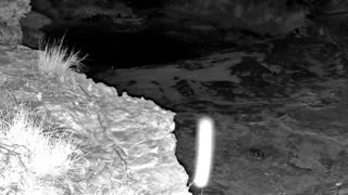 Still 1 from this detection