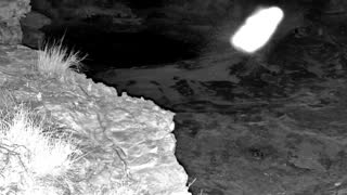 Still 1 from this detection