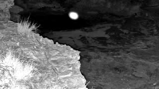 Still 2 from this detection
