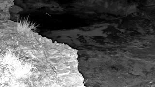 Still 3 from this detection