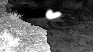 Still 1 from this detection