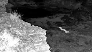 Still 2 from this detection