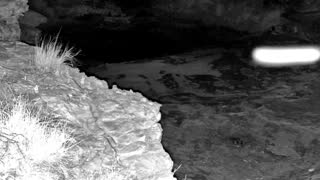 Still 2 from this detection