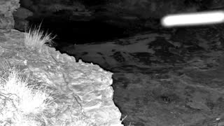 Still 2 from this detection