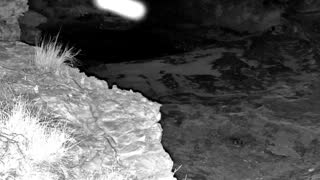 Still 1 from this detection