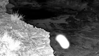 Still 1 from this detection