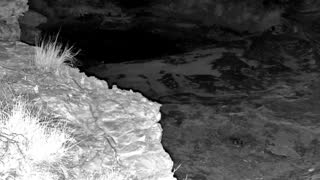 Still 2 from this detection