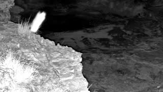 Still 2 from this detection