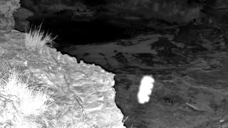 Still 2 from this detection