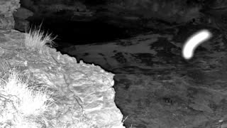 Still 1 from this detection