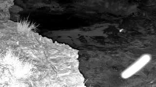 Still 1 from this detection